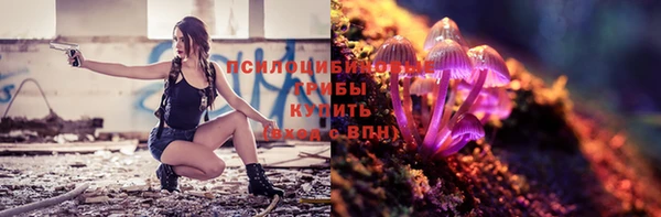 гидропоника Балабаново