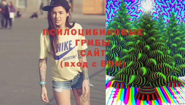 гидропоника Балабаново