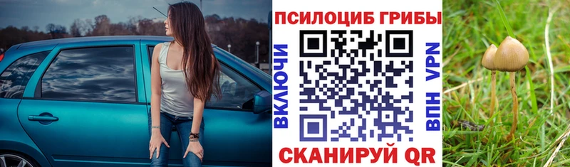 Псилоцибиновые грибы GOLDEN TEACHER  даркнет сайт  Шагонар 